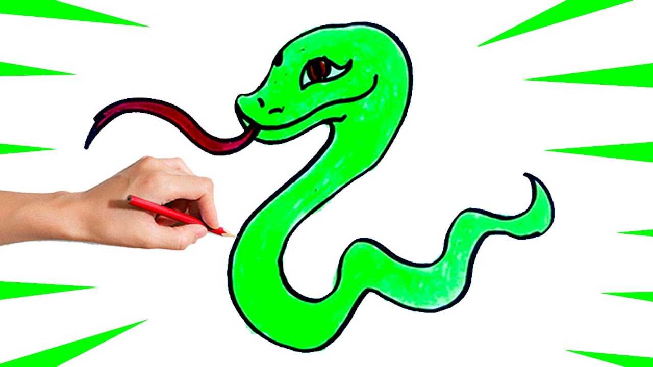 Como Desenhar Uma Cobra Passo A Passo 🐍 Desenhar Cobra Fácil 