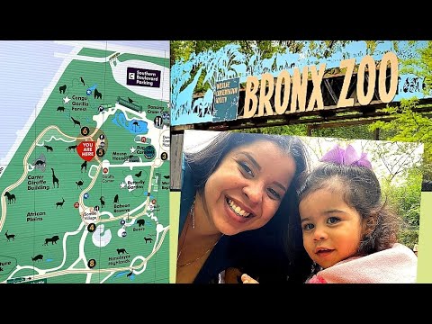 Bronx Zoo (Know before you go, tour) and more!