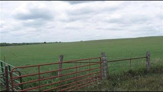448 Shawnee Road video tour