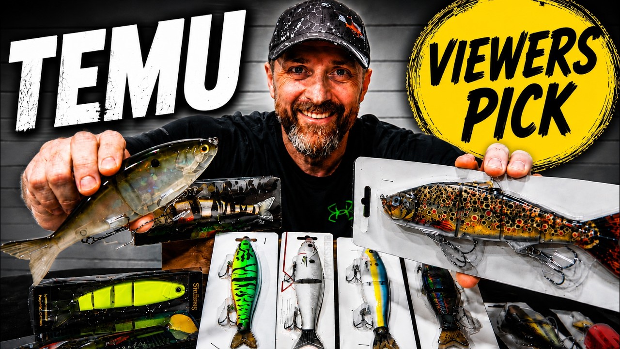 Viewers Pick Our Baits: Genius or Big Mistake?