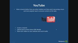CBD Marketing: Digital Marketing for CBD Businesses