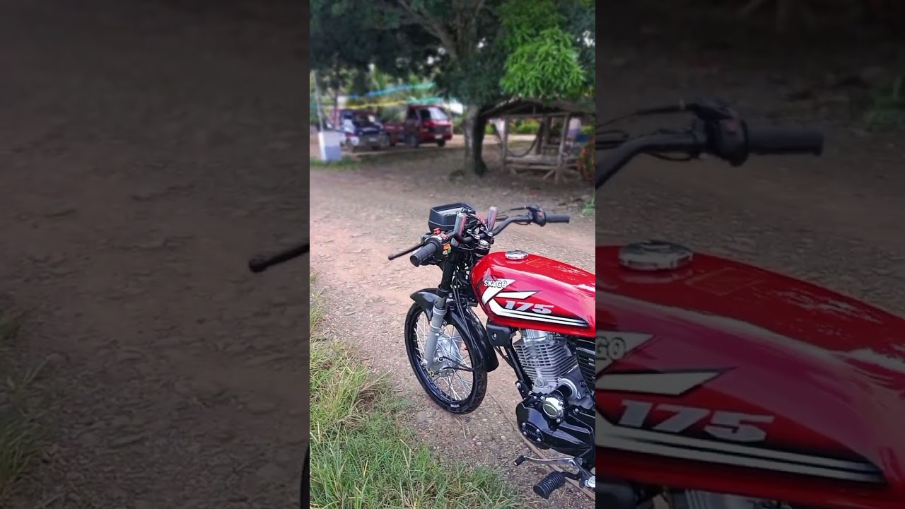 SKYGO 175 STREET BIKE CONCEPT.