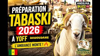 TABASKI 2026 : IMMERSION À YOFF DAGOUDANE🐏🇸🇳