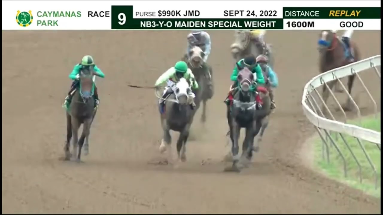 JAAMAICA RACING: DON VINCENZO WINS THE CAYMANAS (SAT, SEPT 24, 2022) 9th IN STEWARD'S ROOM