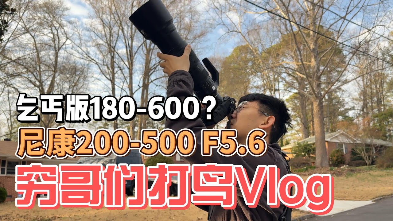 穷玩打鸟之--尼康200-500F5.6 人送外号小180-600 尼康最便宜的长焦之一
