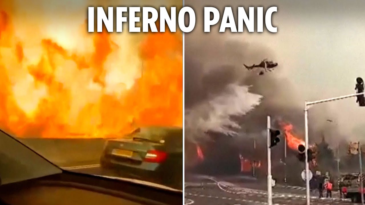 Ferocious wildfires engulf road as Israel declares ‘national emergency’