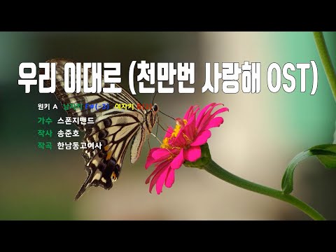 [은성 반주기] 우리이대로(천만번사랑해OST) - 스폰지밴드