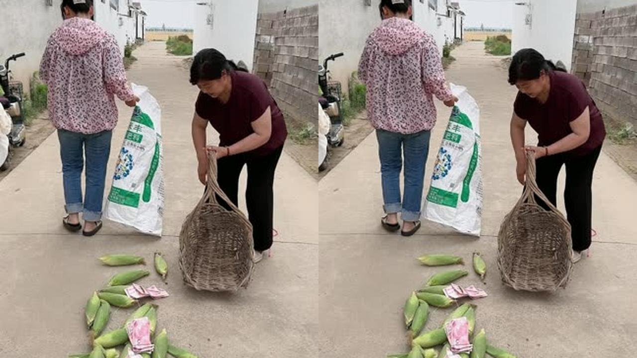 就等玉米棒子下锅呢 #老何婆媳#婆媳 #日常#日常生活 #记录日常