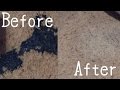 Getting Slime Out Of Carpet