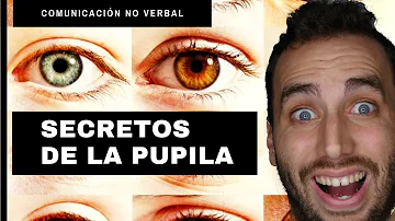 ¿Cómo deben ser tus pupilas?