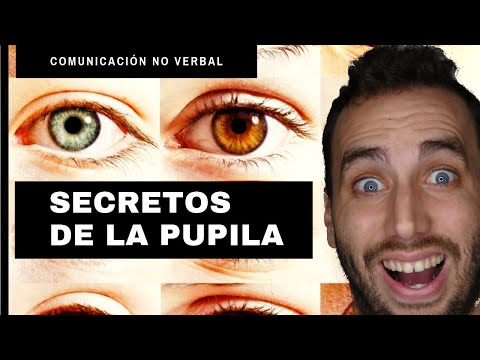 Video: ¿Qué significa cuando los ojos de una persona están fijos y dilatados?