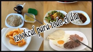 Ideas de comida con 1200kcal para todo el día | Lesly Alemán