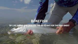 The Angler's Guide to Islamorada