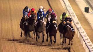 Vidéo de la course PMU AL NABOODAH HORSE TROPHY