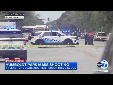UPDATE: 7 people shot, 1 fatally, near Humboldt Park alley; injured woman crashes into CTA bus