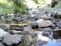 Ajusco: Arroyo bajo el puente colgante