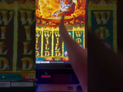 Gioca al Casinò Golden Tiger: il meglio del gioco d'azzardo online in Italia