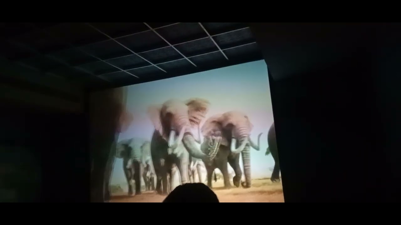 3D animat.\n Ion science city, mere dekha Jata hai.😎😎😎😎😎😎😎🙏🙏🙏🙏🙏🙏🙏