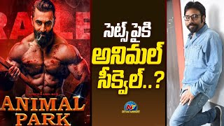 Animal Movie sequel Updates | Sandeep Reddy Vanga, Ranbir Kapoor || @NTVENT