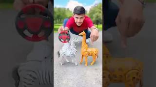 Rc Remote Control 2ta Zebra Vs Giraffe Unboxing 🥹