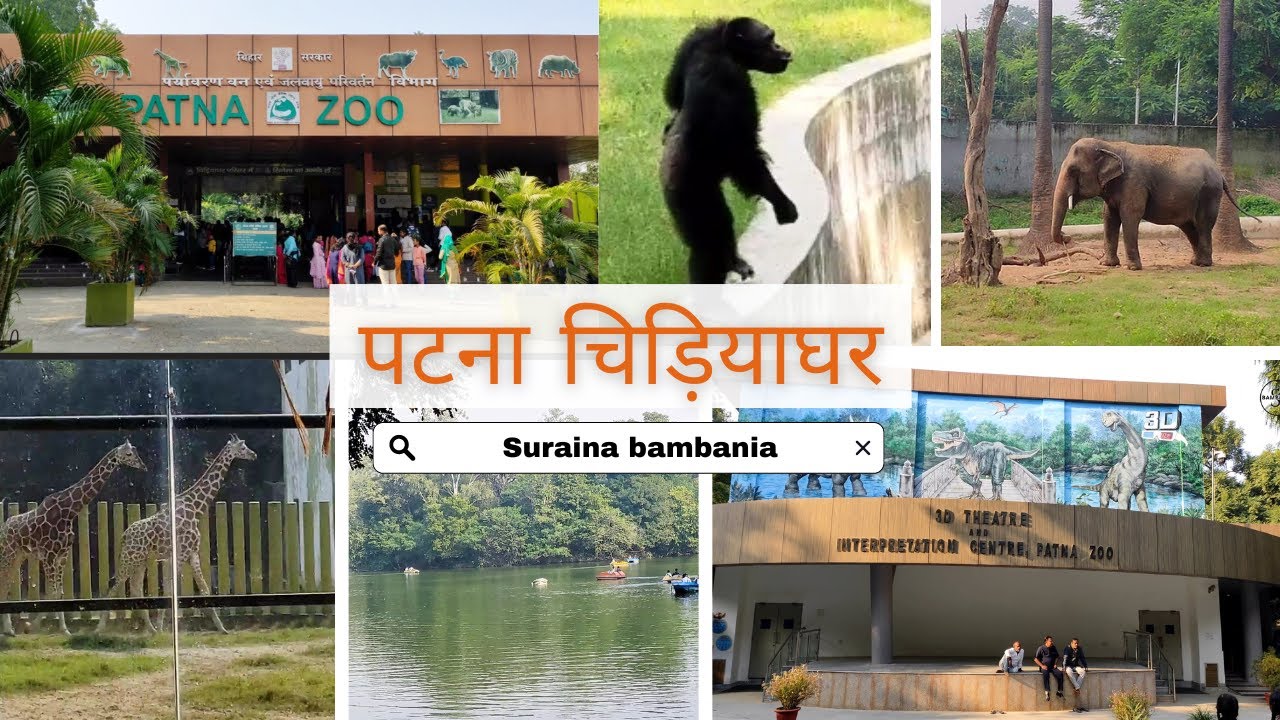 Patna zoo ho chuka kaffi change sanjay gandhi biological park patnazoo patna patnacity
