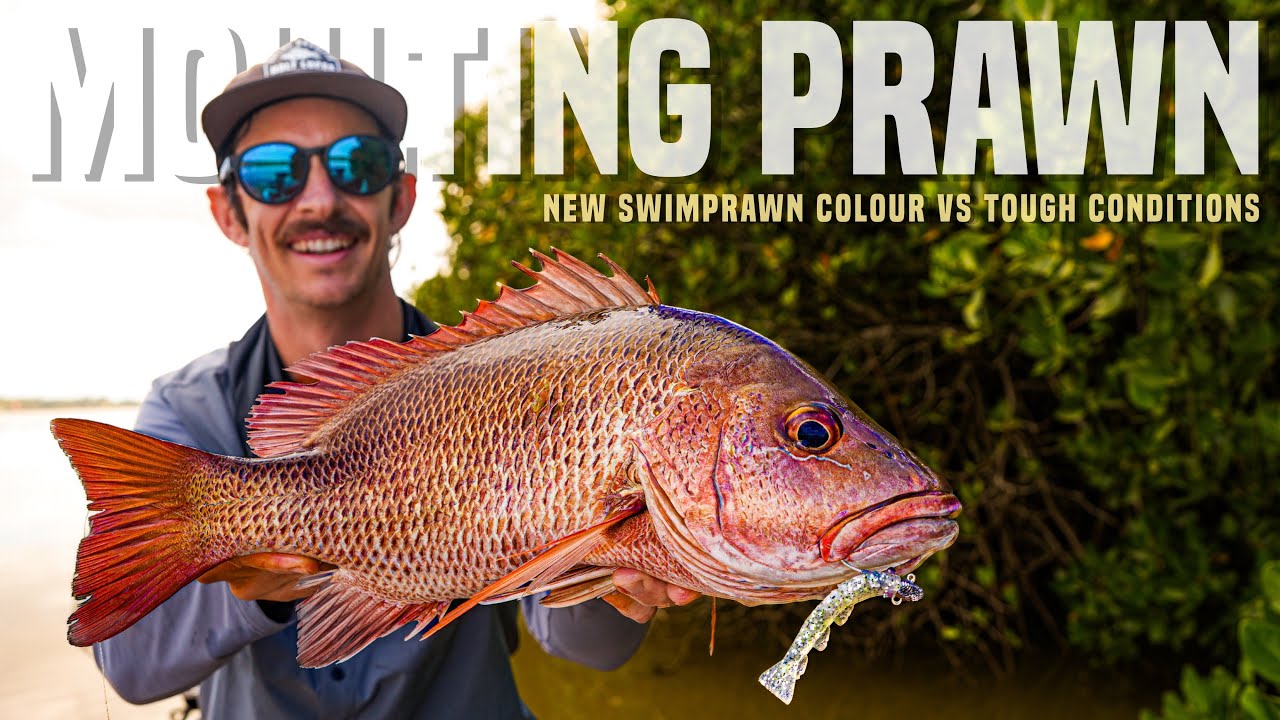 New SWIMPRAWN Colour vs Tough Estuary Conditions