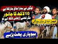 Faisalabad Cattle Market Heats Up | Traders Furious Over Low Offers | NPTV Digital
