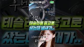테슬라를 중고차로 타면 겪게될 단점! 문 열자마자 깜짝 놀랐습니다.. 벤딕트 솔베아 탈취제!