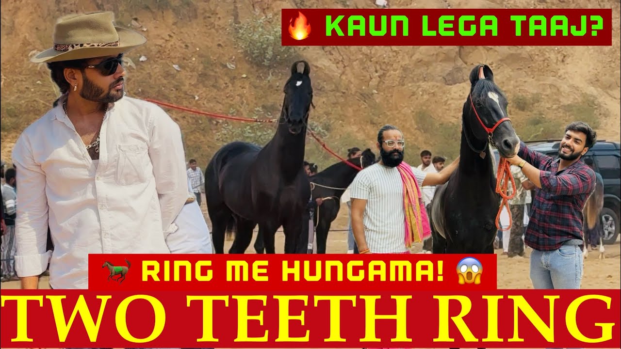 ПУШКАР МЕЛА 2025 🐎 КОЛЬЦО С ДВУМЯ ЗУБАМИ – KAUN LEGA MELE KA TAAJ? #лошадь #лошадиная сила