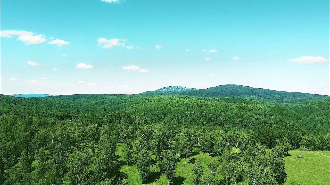 Башкирскую рекламу. Башкирскую рекламу