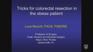 Tricks for Colorectal Resection in the Obese Patient by Luca Stocchi, MD | Preview
