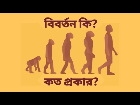 ভিডিও: বিবর্তন মানে কি?