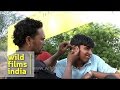 Street-side ear cleaner makes client scowl, in Delhi