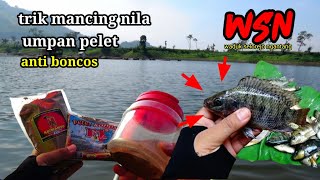 BLENDRANG spot terkini ‼️ 3 kombinasi umpan pelet wajib di coba || mancing nila umpan pelet