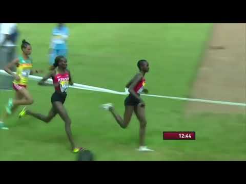 ቪዲዮ: የ CORRIDA ክለብ በቫለንታይን ቀን በሮቹን ይከፍታል