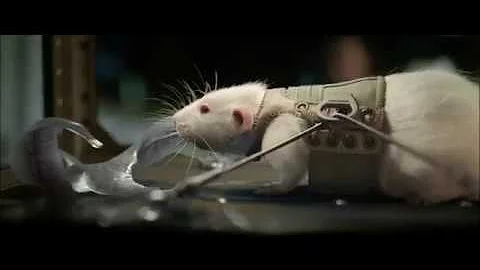 Life or Death - In Cinemas March 24th