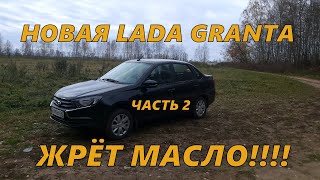 видео: ПРОБЛЕМЫ С НОВЕНЬКОЙ LADA GRANTA. Дилер НЕ ХОЧЕТ РЕМОНТИРОВАТЬ. Жор МАСЛА ПРОДОЛЖАЕТСЯ. Часть 2. картинка: ПРОБЛЕМЫ С НОВЕНЬКОЙ LADA GRANTA. Дилер НЕ ХОЧЕТ РЕМОНТИРОВАТЬ. Жор МАСЛА ПРОДОЛЖАЕТСЯ. Часть 2.