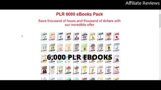 Honest Review: PLR 6000 eBooks Pack Guide