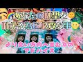 【タロット】願望を実現させる為には?! タロット占い鑑定動画