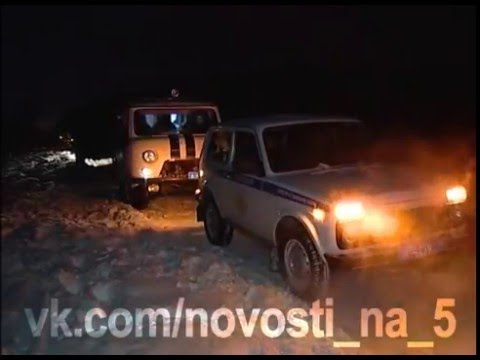 Чем чревата незаконная вырубка лес