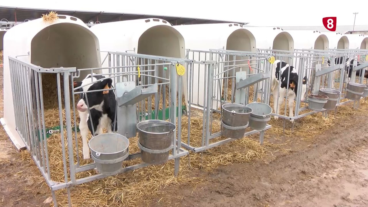 Reportaje Granja de Caparroso