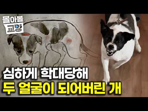 "그래도 키울 사람은 두분 밖에 없다" 역대급 거친 모습엔 사연이 담겨있었고 보호자들의 따뜻한 마음에 설채현 선생님은 마법으로 조금 도울 뿐인 #몰아볼교양