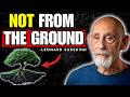 Why Trees Don’t Grow From the Ground | Leonard Susskind
