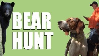 It is one of the greatest hunting hound sports in the world - and y...