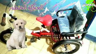 الدراجة الهوائية الحنطور الموصفات والسعر bicycle-works ​