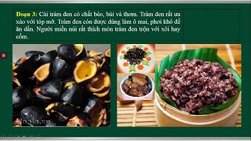 24/4 - TẬP LÀM VĂN LỚP 4   ĐOẠN VĂN TRONG BÀI VĂN MIÊU TẢ CÂY CỐI