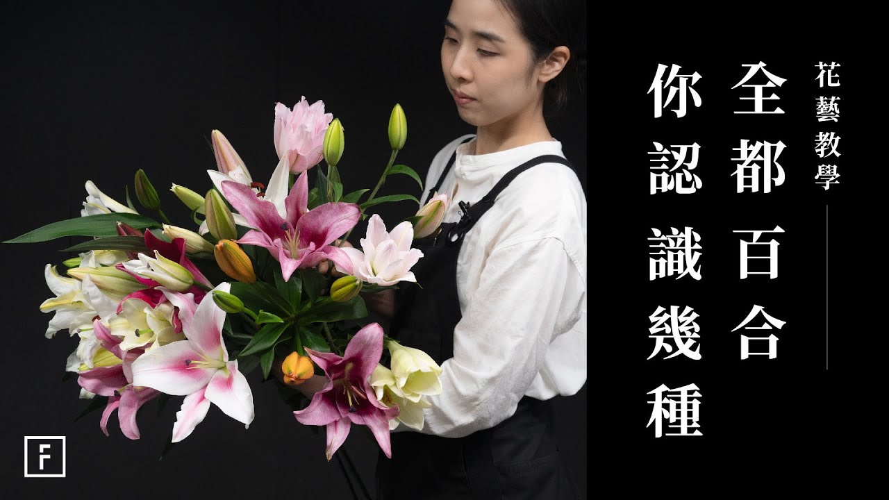 喜歡百合花香，但花粉總是掉滿桌？新手選百合，這樣挑最安全！｜花藝教學｜花裡 FORi Flower