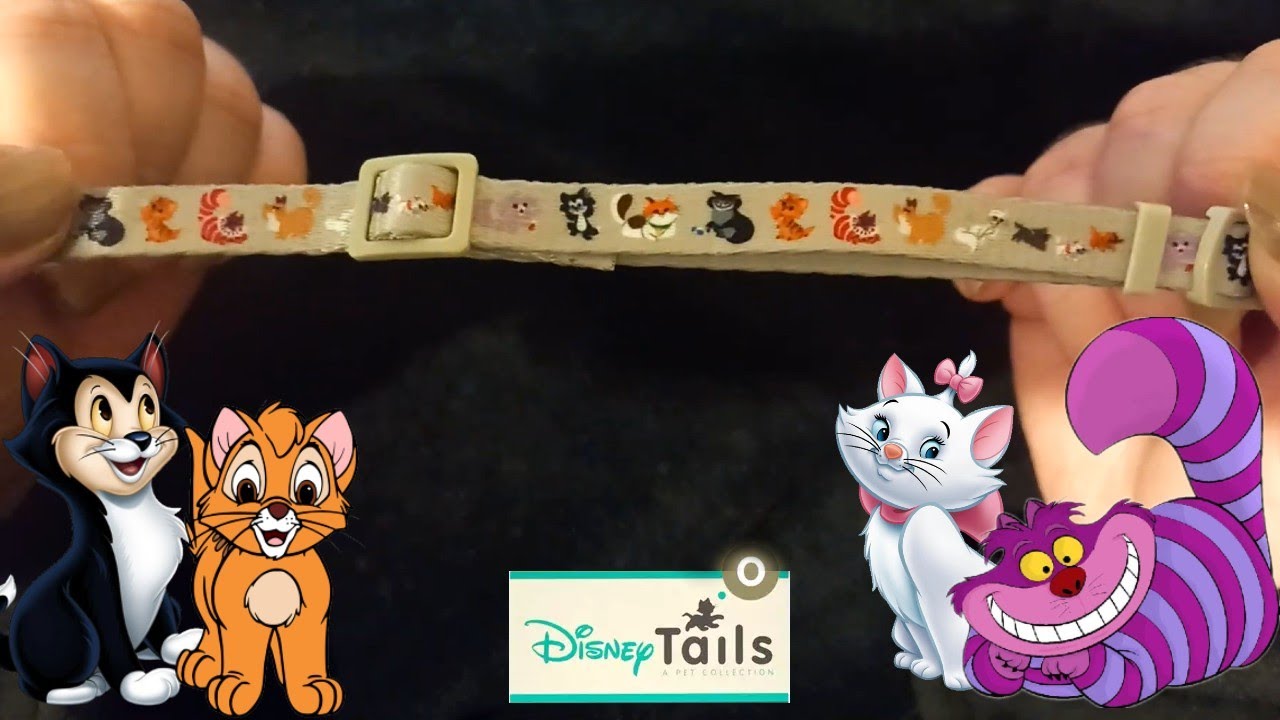 Unboxing Disney Store Disney Tails Cat Collar | ShopDisney