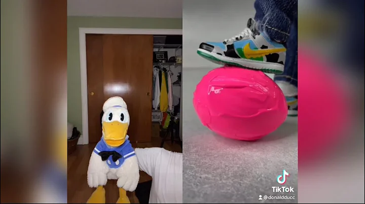 Donald Duck Reacts to Satisfying TikToks 6 (DO NOT...