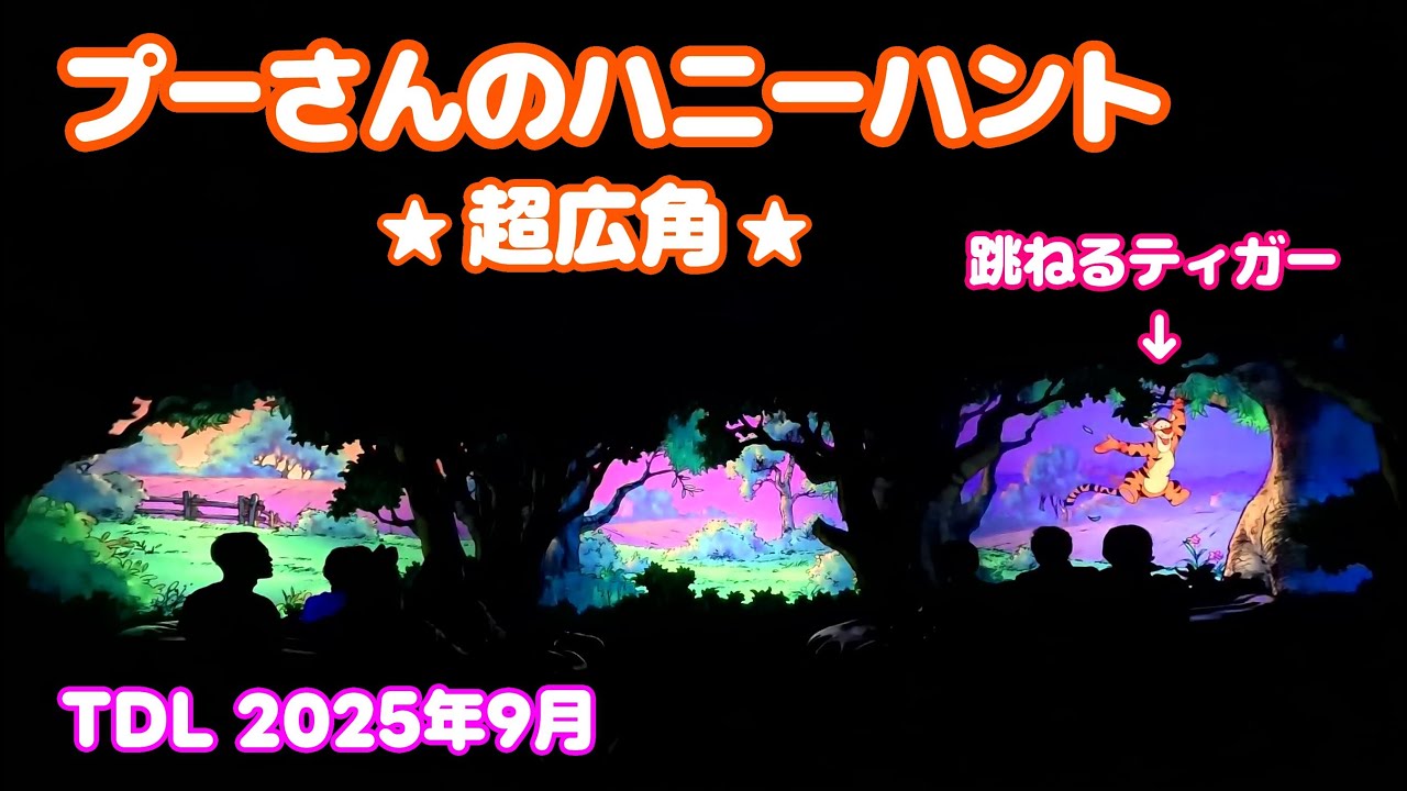 【超広角】プーさんのハニーハント 東京ディズニーランド/ Pooh's Hunny Hunt Tokyo Disneyland 2025年9月